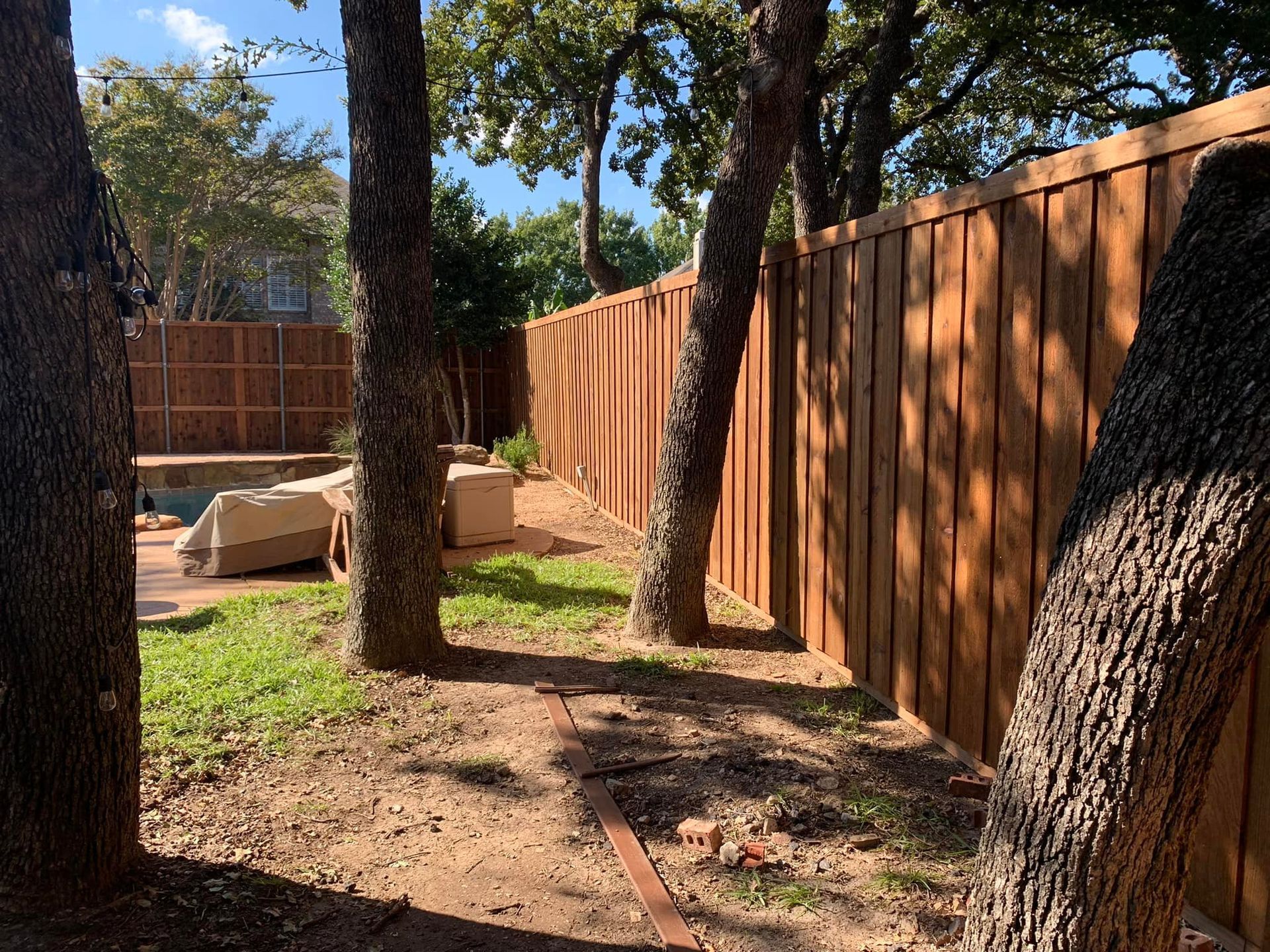 Backyard with trees, new wood fence, and green grass.