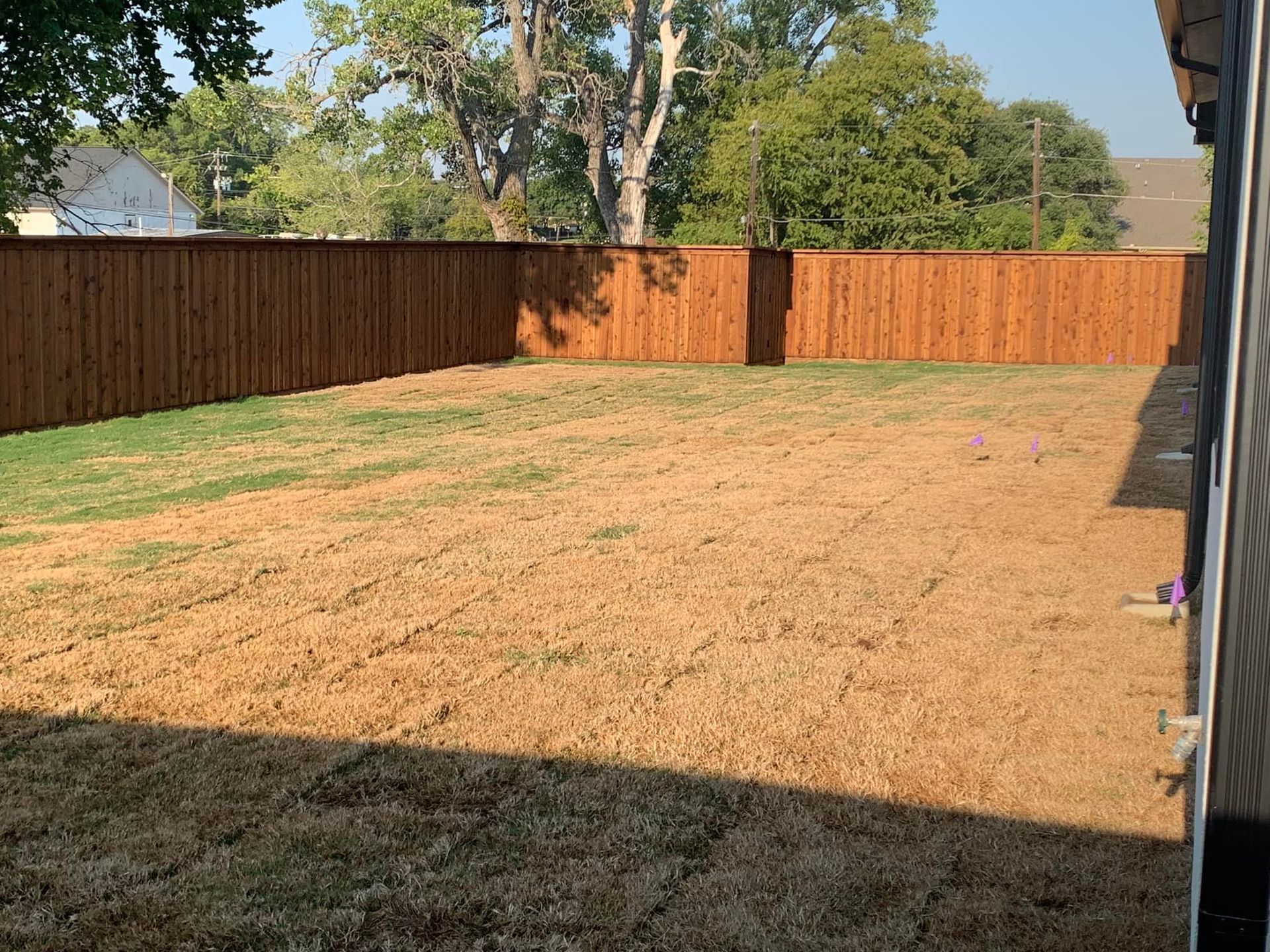 A backyard with a brown, dry lawn surrounded by a stained wooden fence.