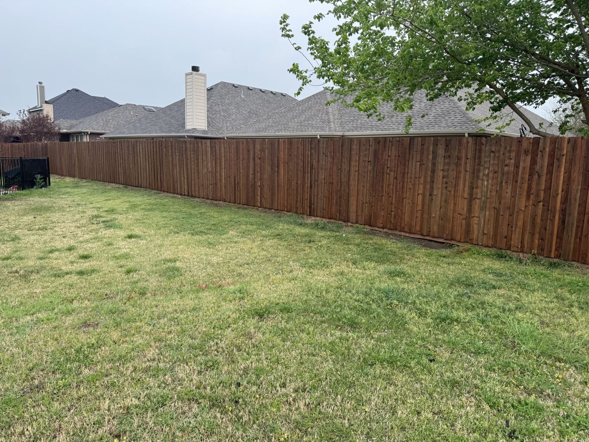 Brown wooden fence along a green grassy lawn in a residential neighborhood.