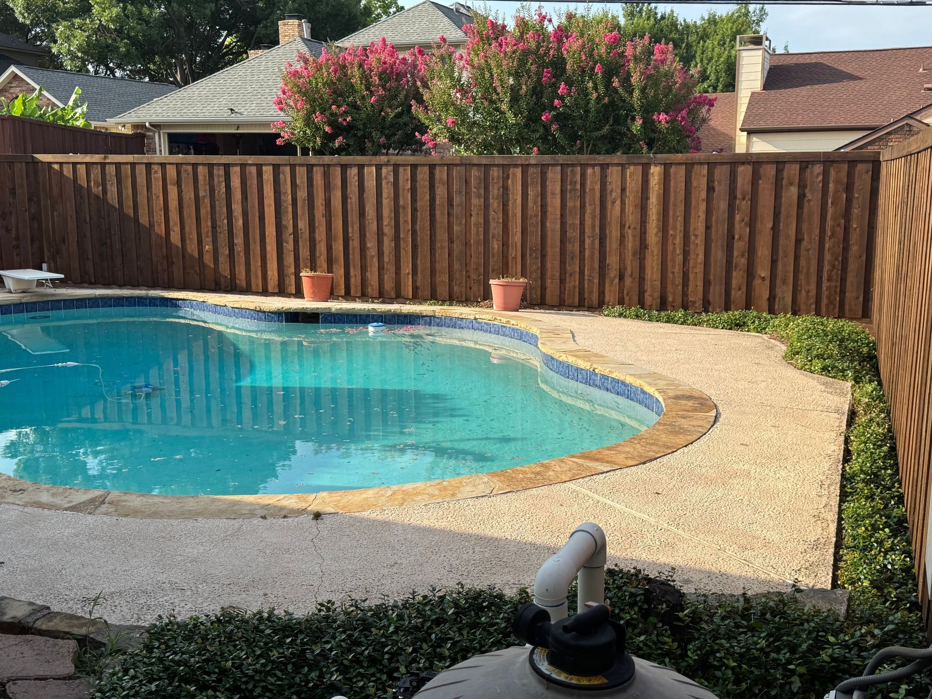 Swimming pool surrounded by a concrete deck and a wooden fence, with pink flowers in the background.