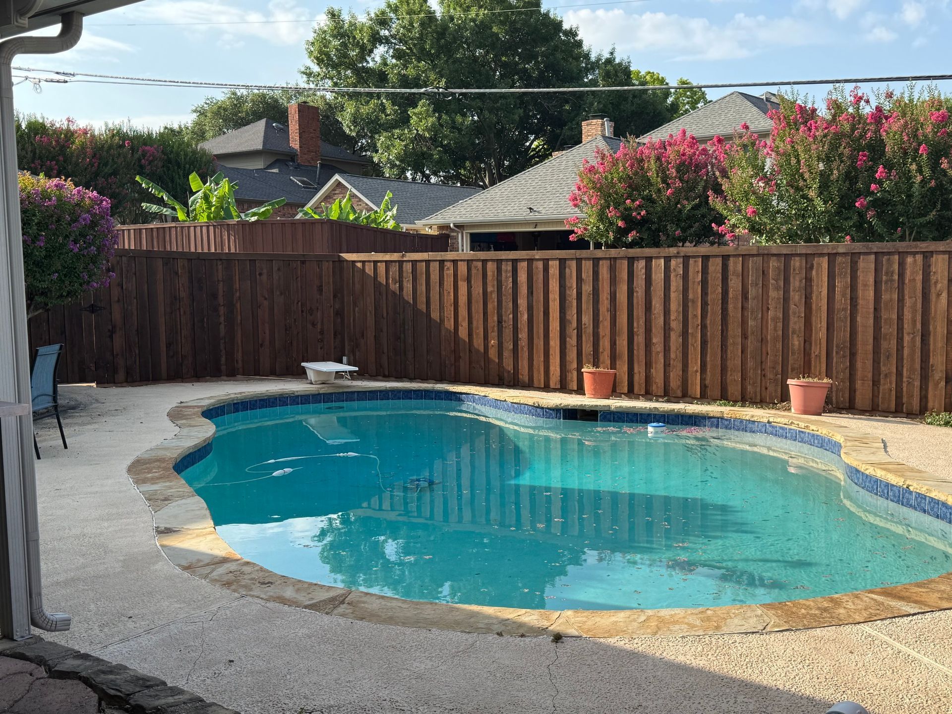 Backyard with a blue swimming pool, brown fence, and flowering bushes under a sunny sky.