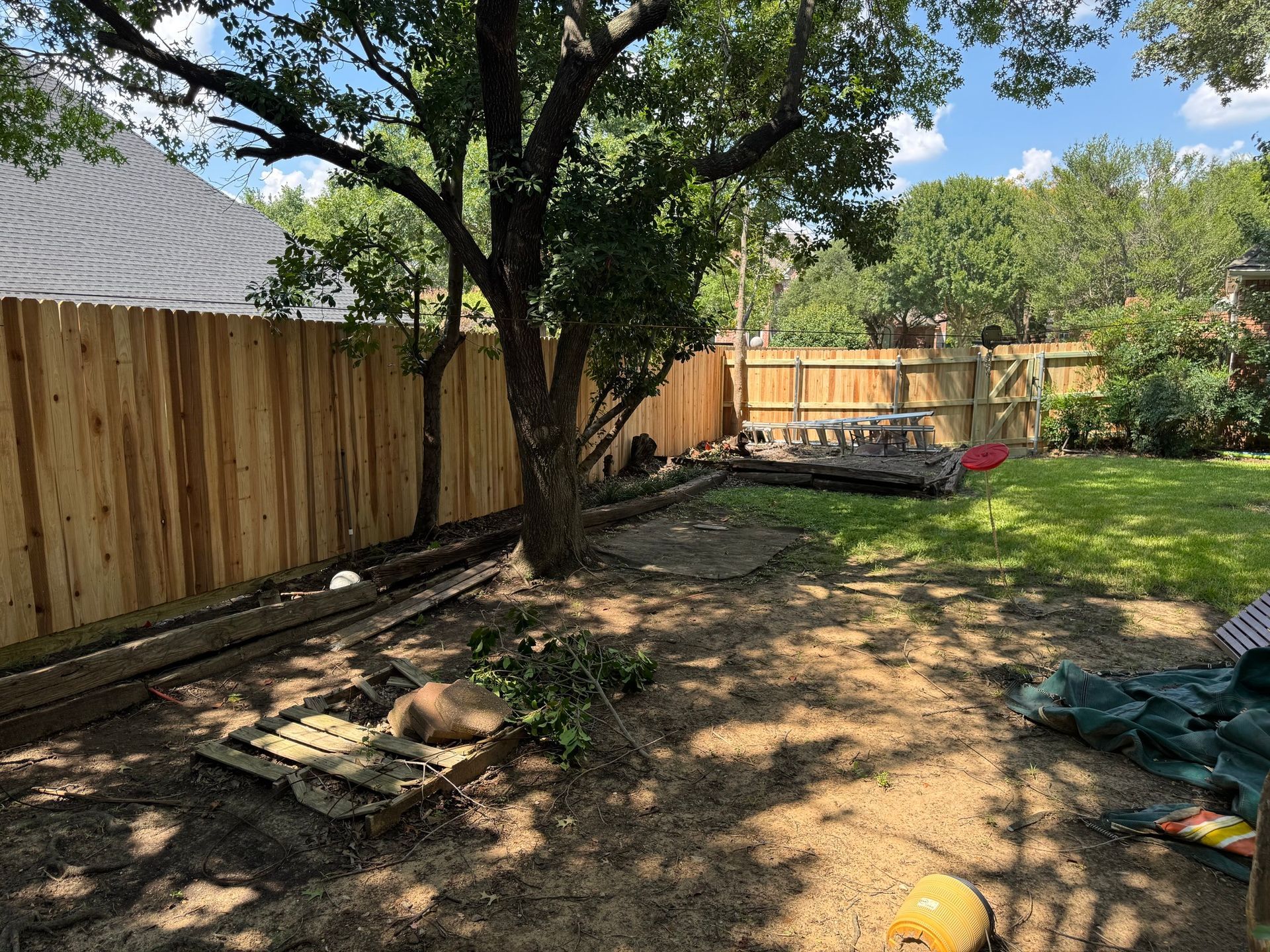 Backyard with newly built wooden fence, a tree, and patchy grass.