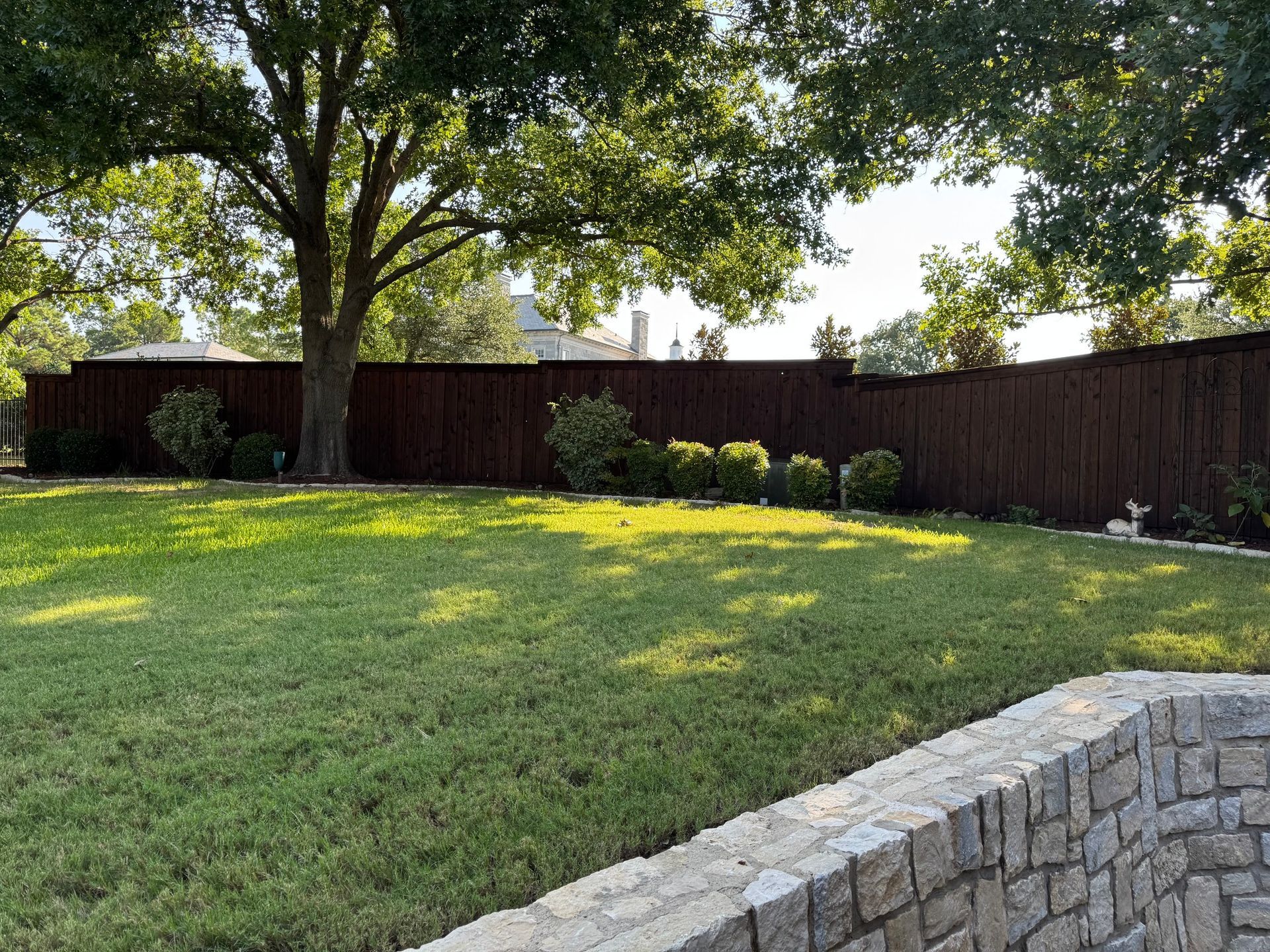 Lush green lawn in a backyard with a dark wooden fence and a stone border.