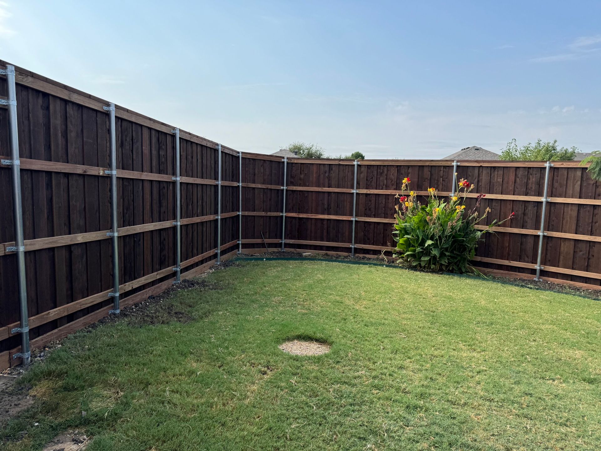 Brown wooden fence surrounds a green grassy backyard. A small plant with orange flowers sits near the fence.