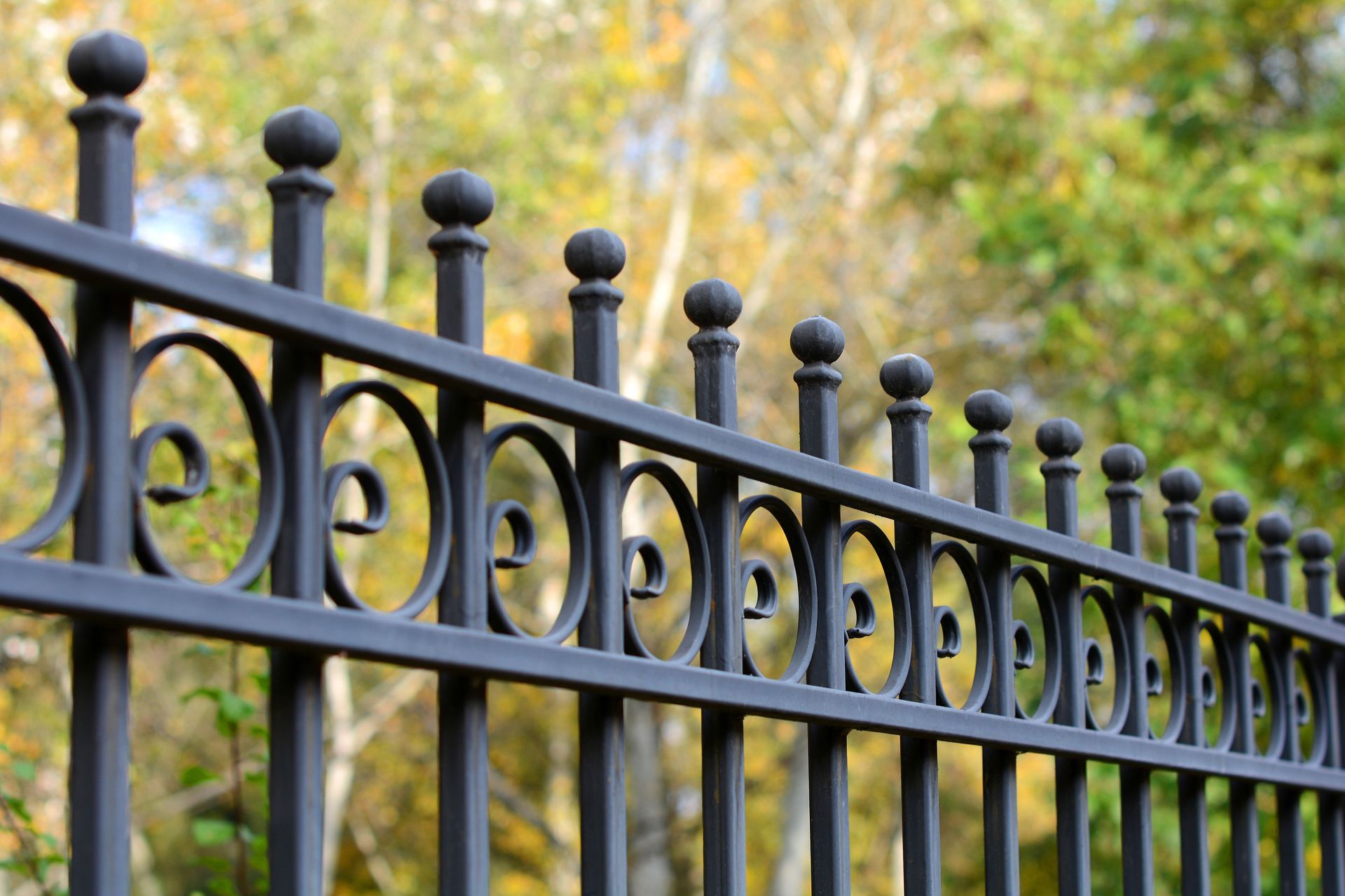Black wrought iron fence with decorative swirls and finials, blurred green and yellow foliage in background.