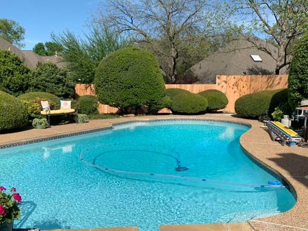 Swimming pool in a backyard with clear water, surrounding landscaping, and a wooden fence.