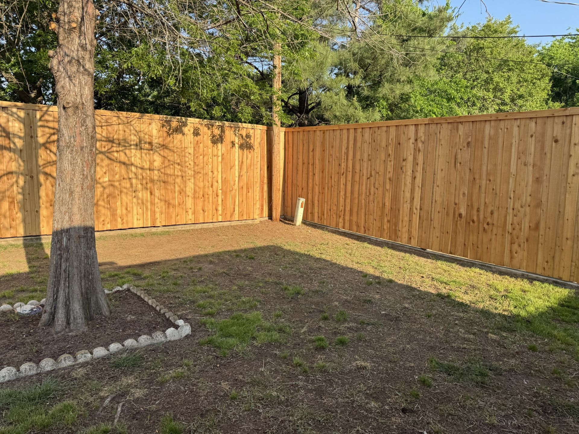Wooden fence enclosing a grassy backyard with a tree.
