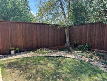 Brown wooden fence surrounds a backyard with a tree, gravel, and green grass.