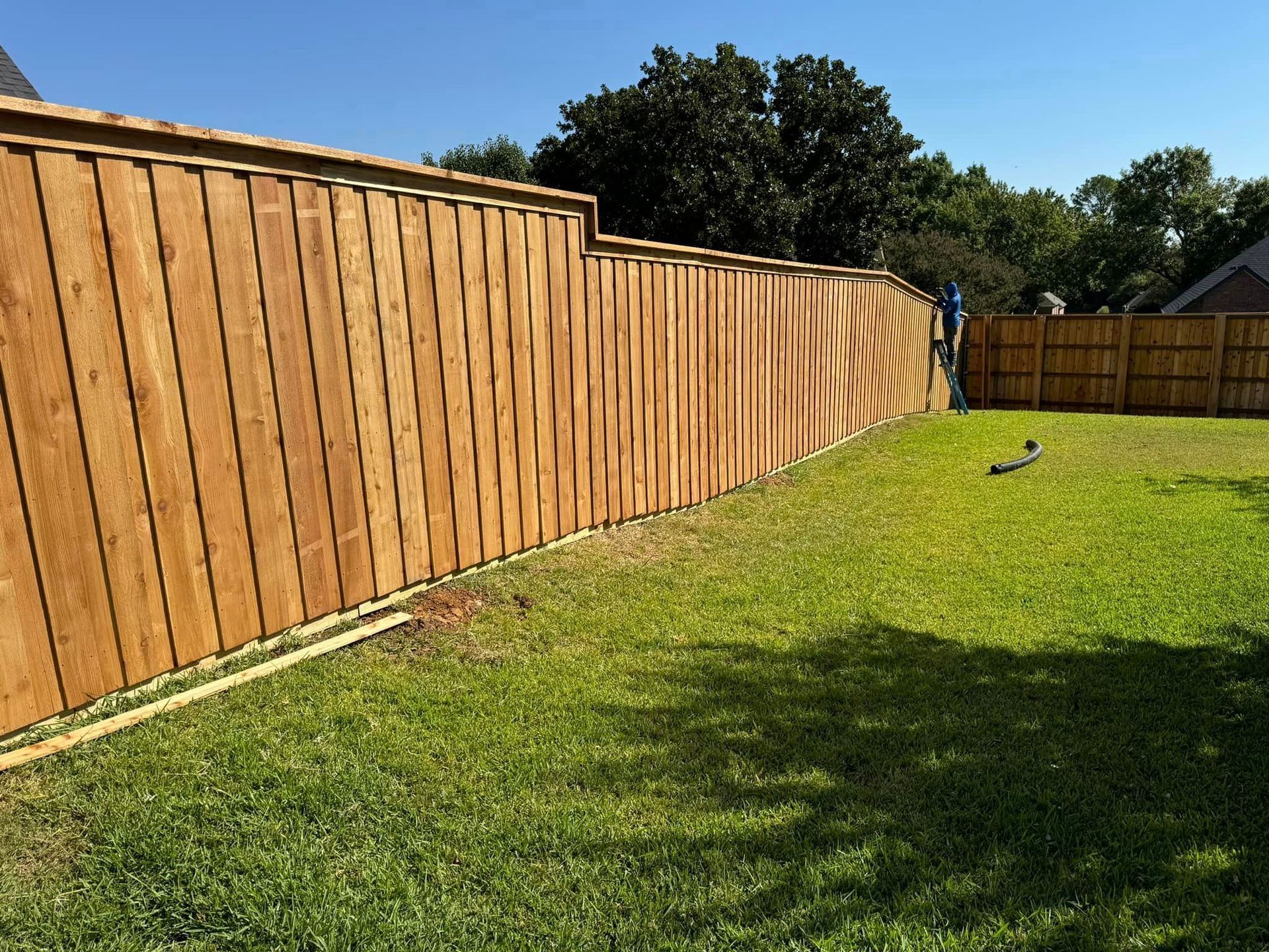 Wooden fence in a grassy backyard under a blue sky.