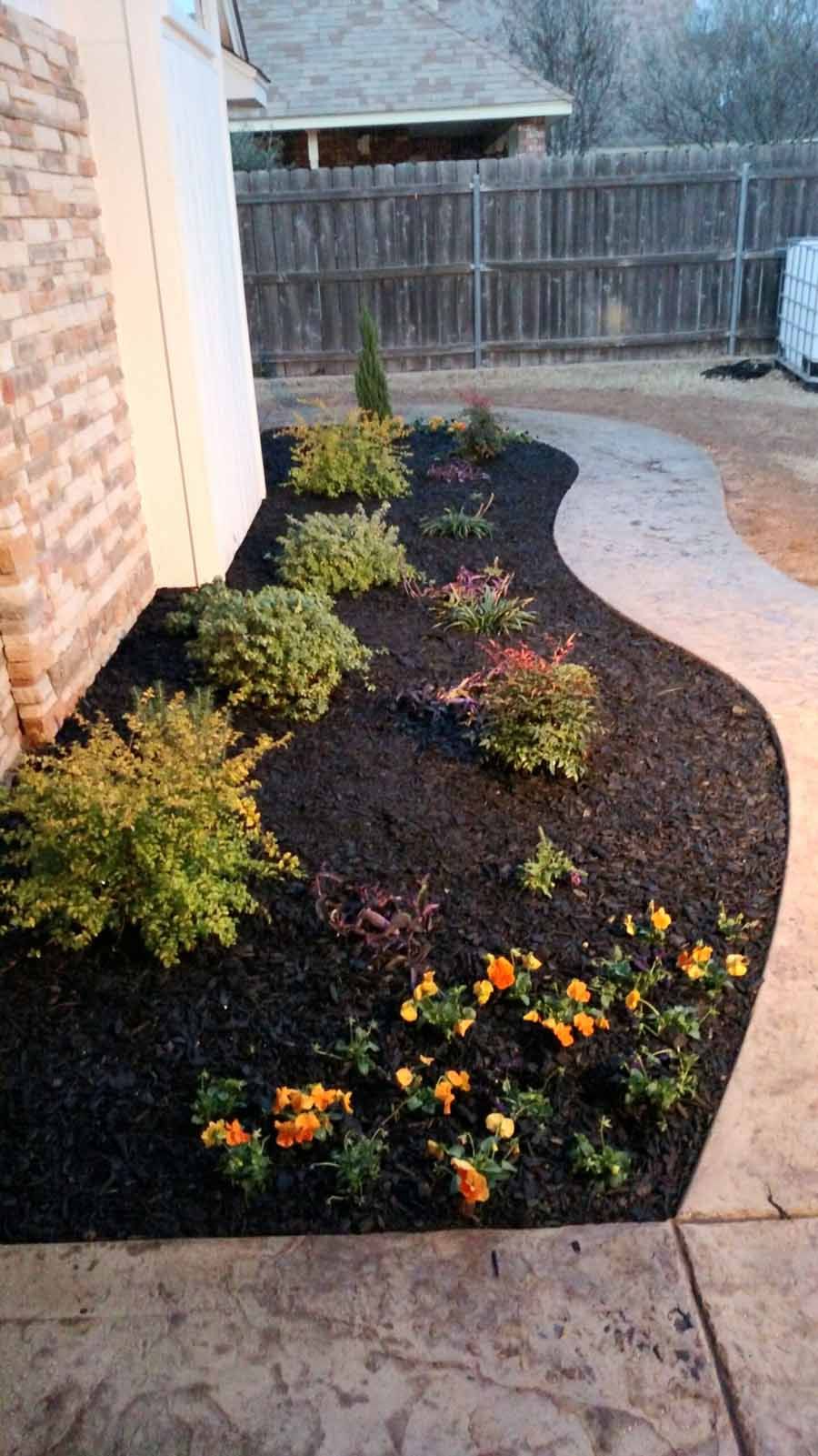A landscaped garden bed with mulch, small green shrubs, and orange marigolds bordering a curved concrete patio.