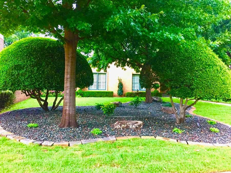 A landscaped front yard features two large, rounded, manicured trees, dark stone mulch, and a brick-edged flower bed.