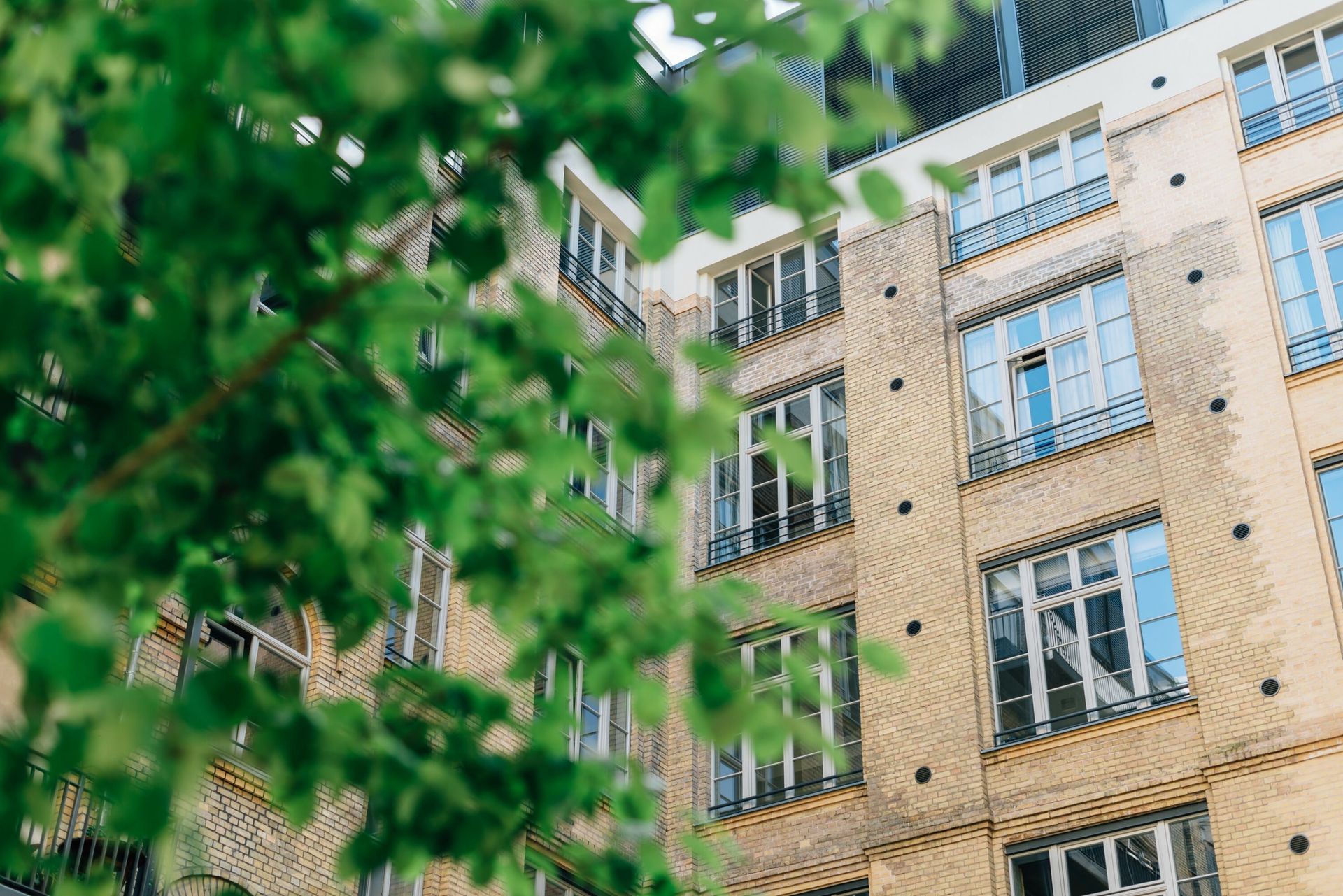 Yellow brick building with multiple windows, framed by green tree leaves.
