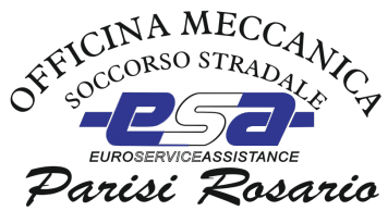 Logo for ESA Euroserviceassistance, with text