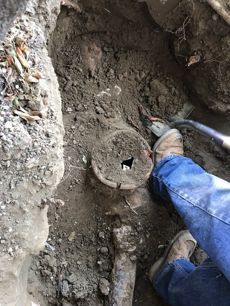 A person is digging in the dirt with a shovel.