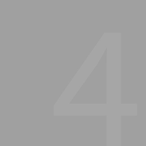 Medium Gray Background — Glenville, GA — SQUIRTS