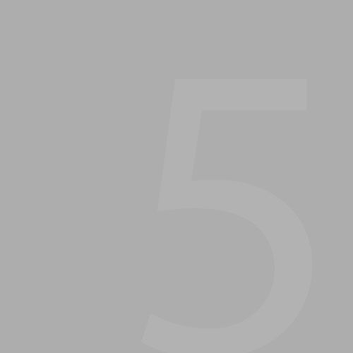 Light Gray Background — Glenville, GA — SQUIRTS