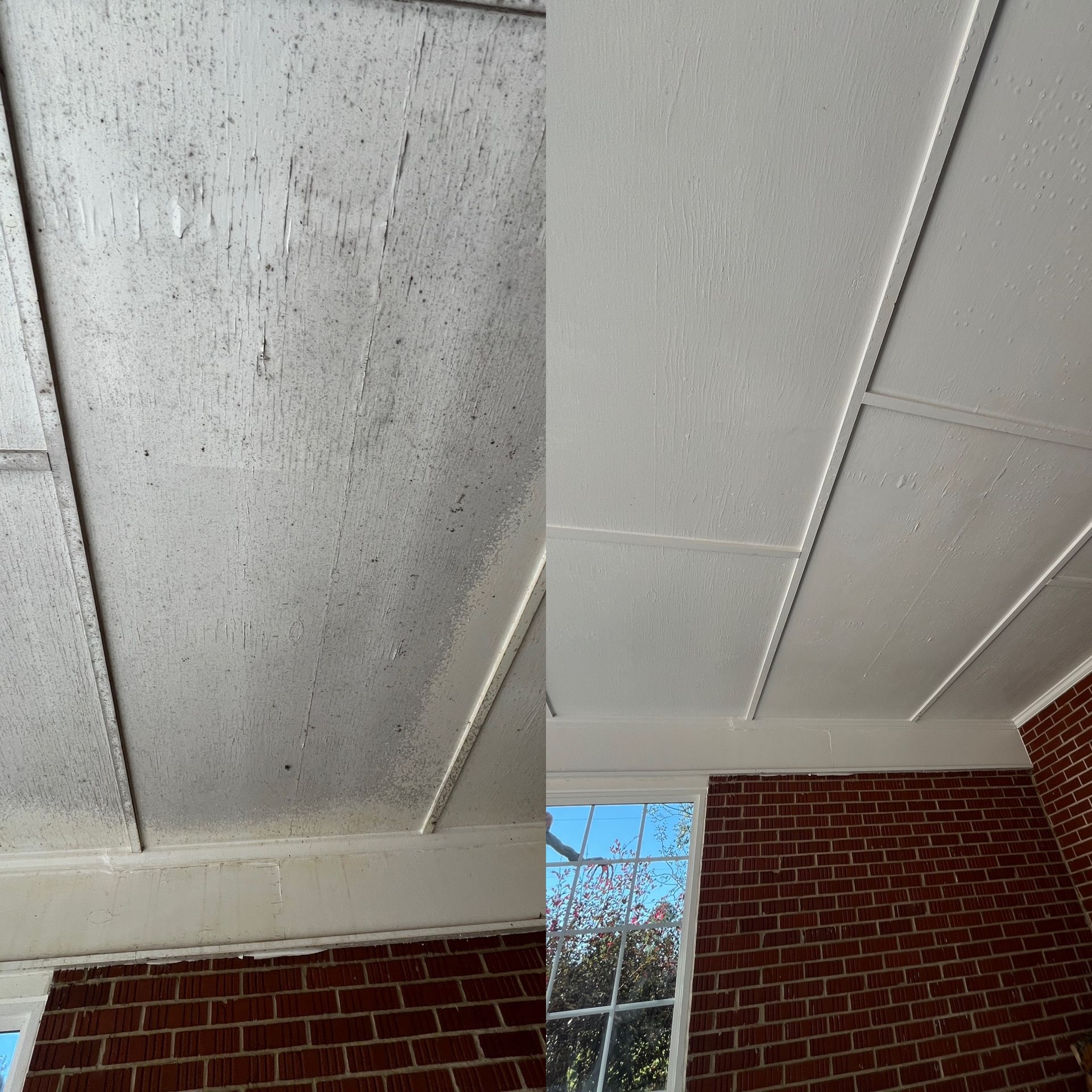 Pressure washing in Claxton Ga