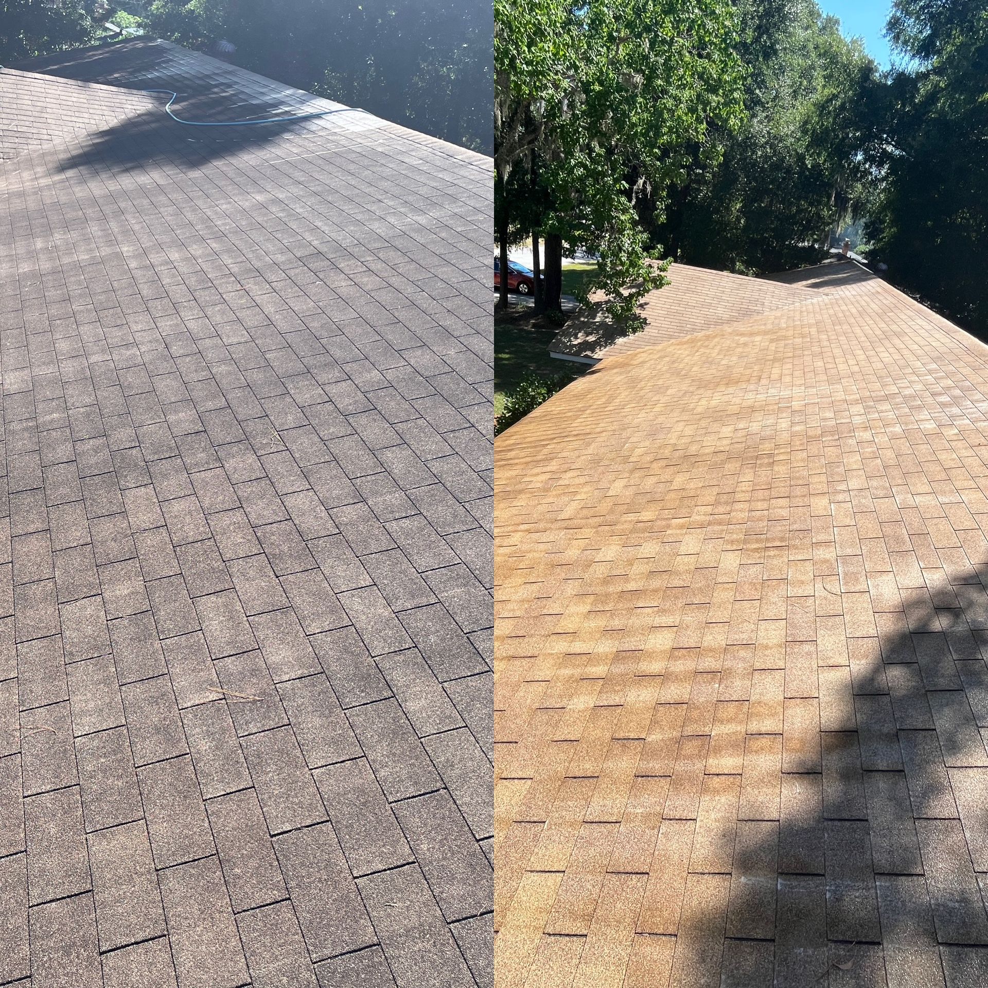 Shingle roof cleaning Vidalia Ga