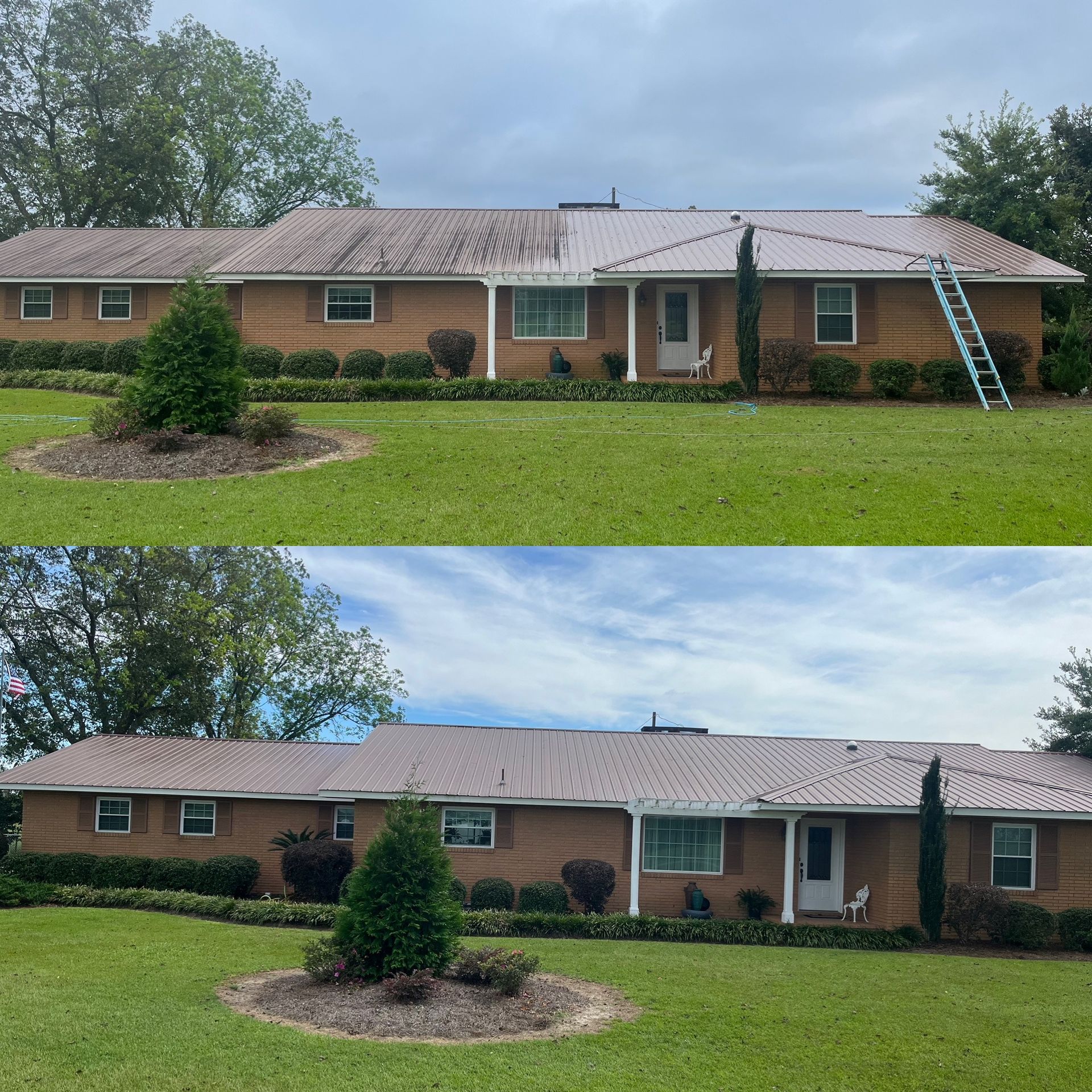 Pressure washing Tattnall Co Ga