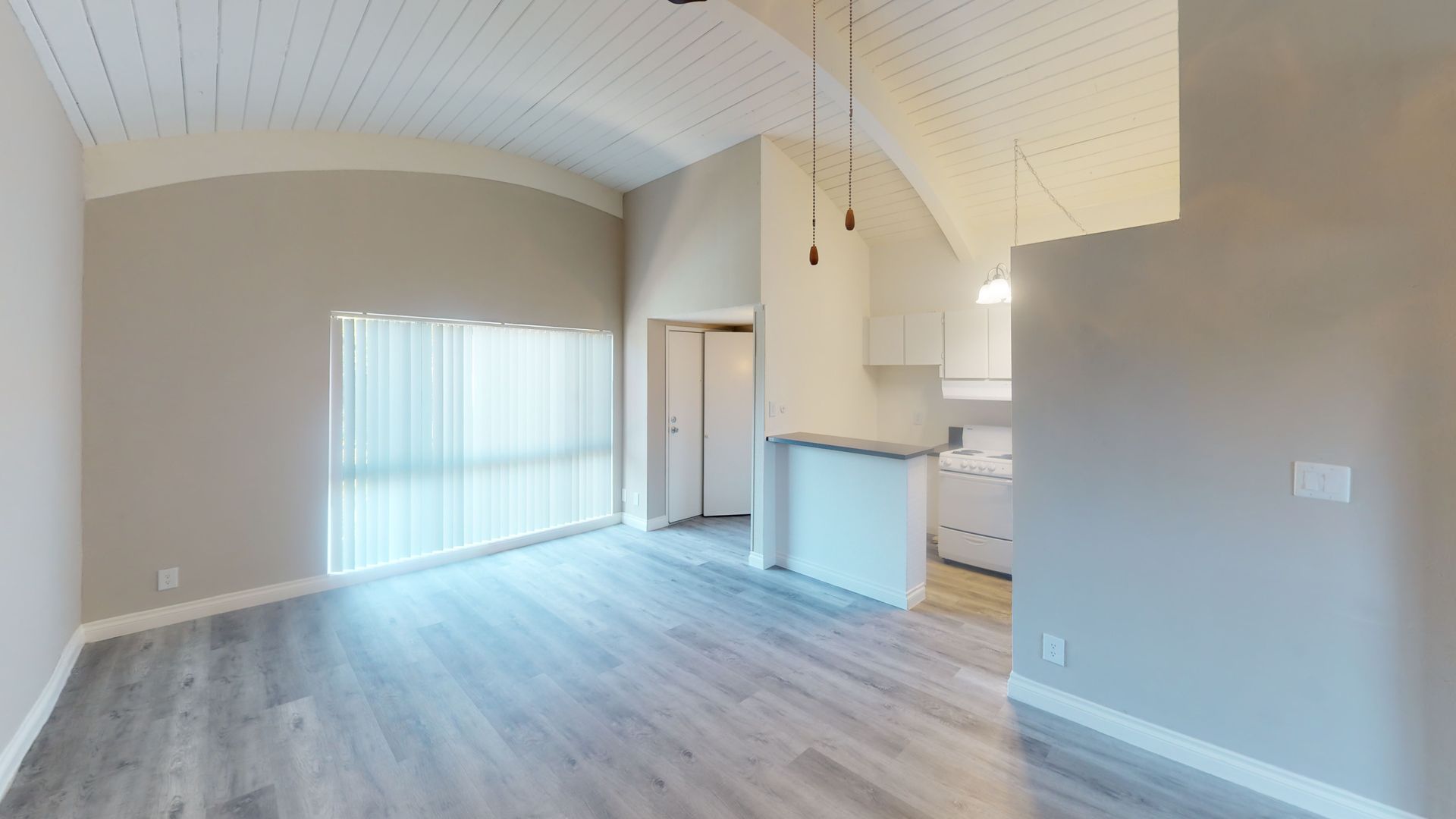 Empty living space with high, arched ceiling, light gray walls, and light wooden floor.