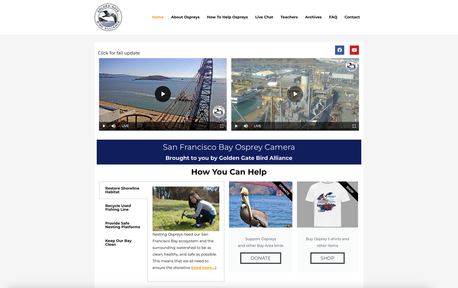 a screenshot of a website with a picture of a pelican on it .