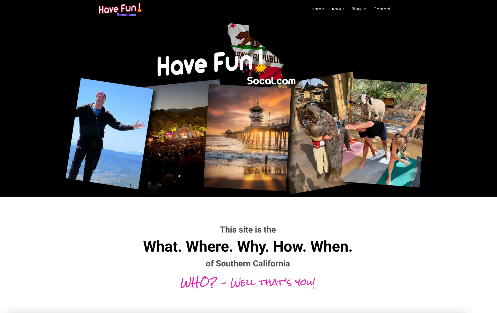 a screenshot of a website that says `` have fun '' .