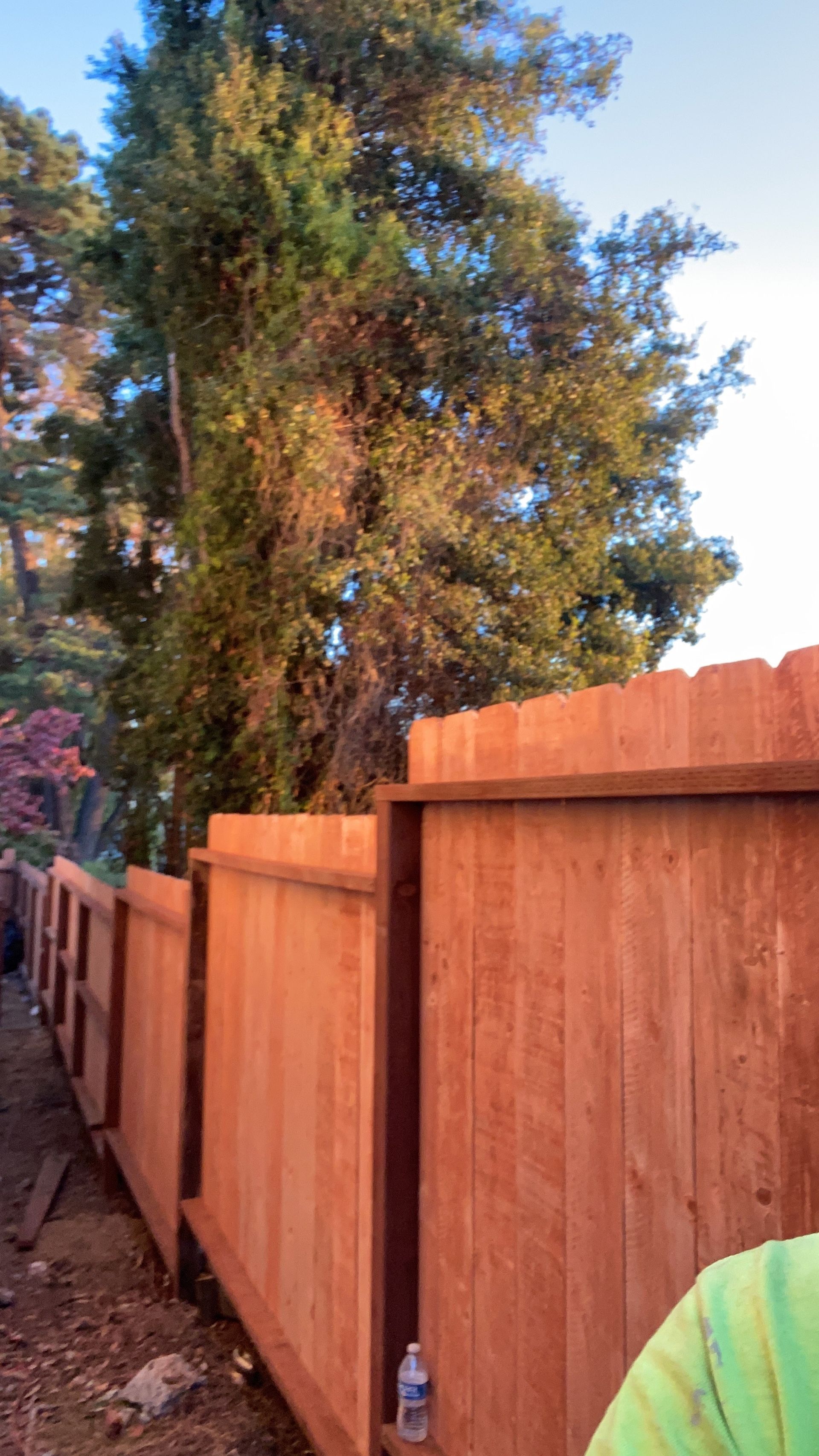 A person is standing next to a wooden fence with trees in the background.