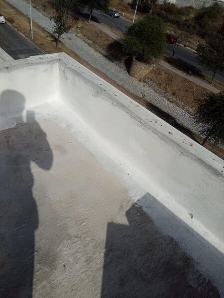 DON PINTOR