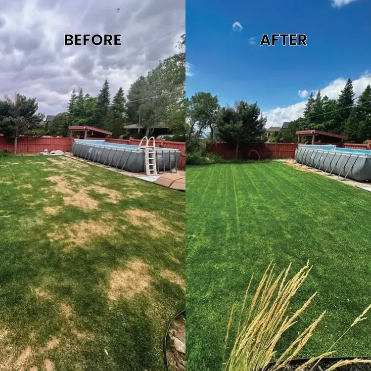 A before and after picture of a lawn with a pool