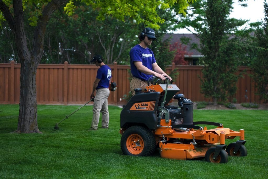Two men mowing a lawn. One on a riding mower, the other spraying weeds near a tree in a yard.