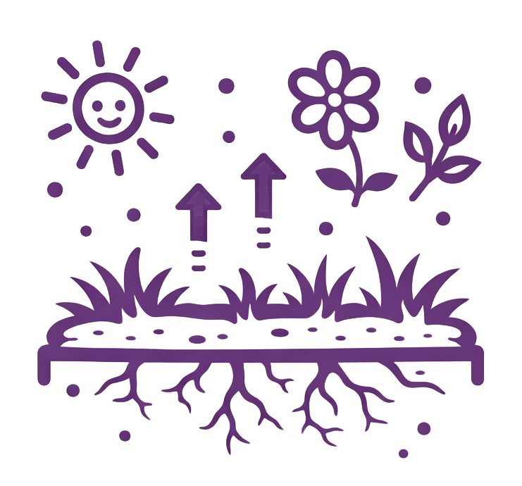Purple illustration of a sun, flower, grass, roots, and upward arrows, depicting growth.