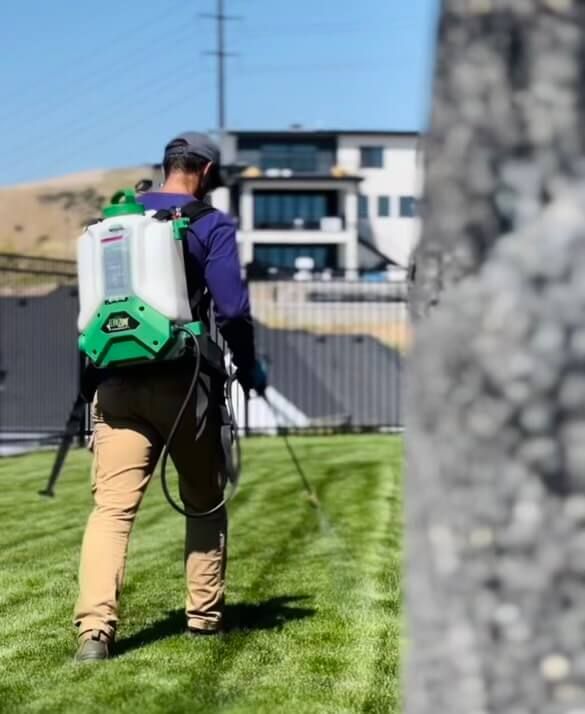 Man in blue shirt sprays lawn with a backpack sprayer; house and hill in background.