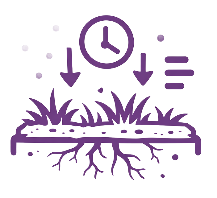 A clock above grass with arrows, indicating watering. Ground, roots, and horizontal lines for water.