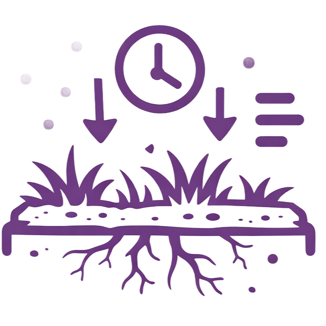 A clock above grass with arrows, indicating watering. Ground, roots, and horizontal lines for water.