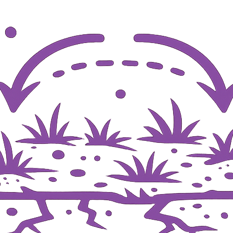 Cracked earth with grass, arrows showing cycle, sad face.