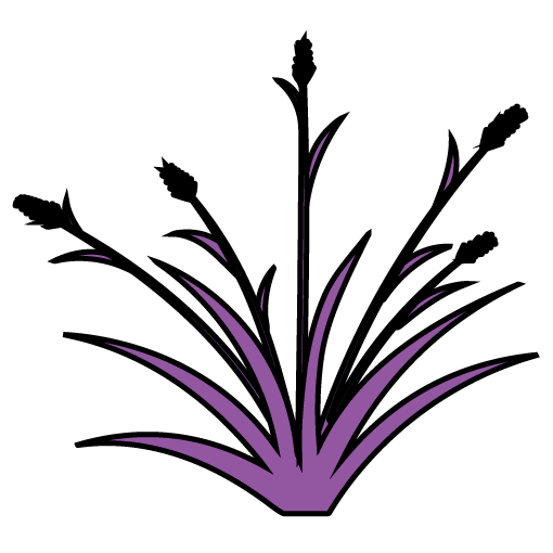 Purple and black stylized grass illustration.