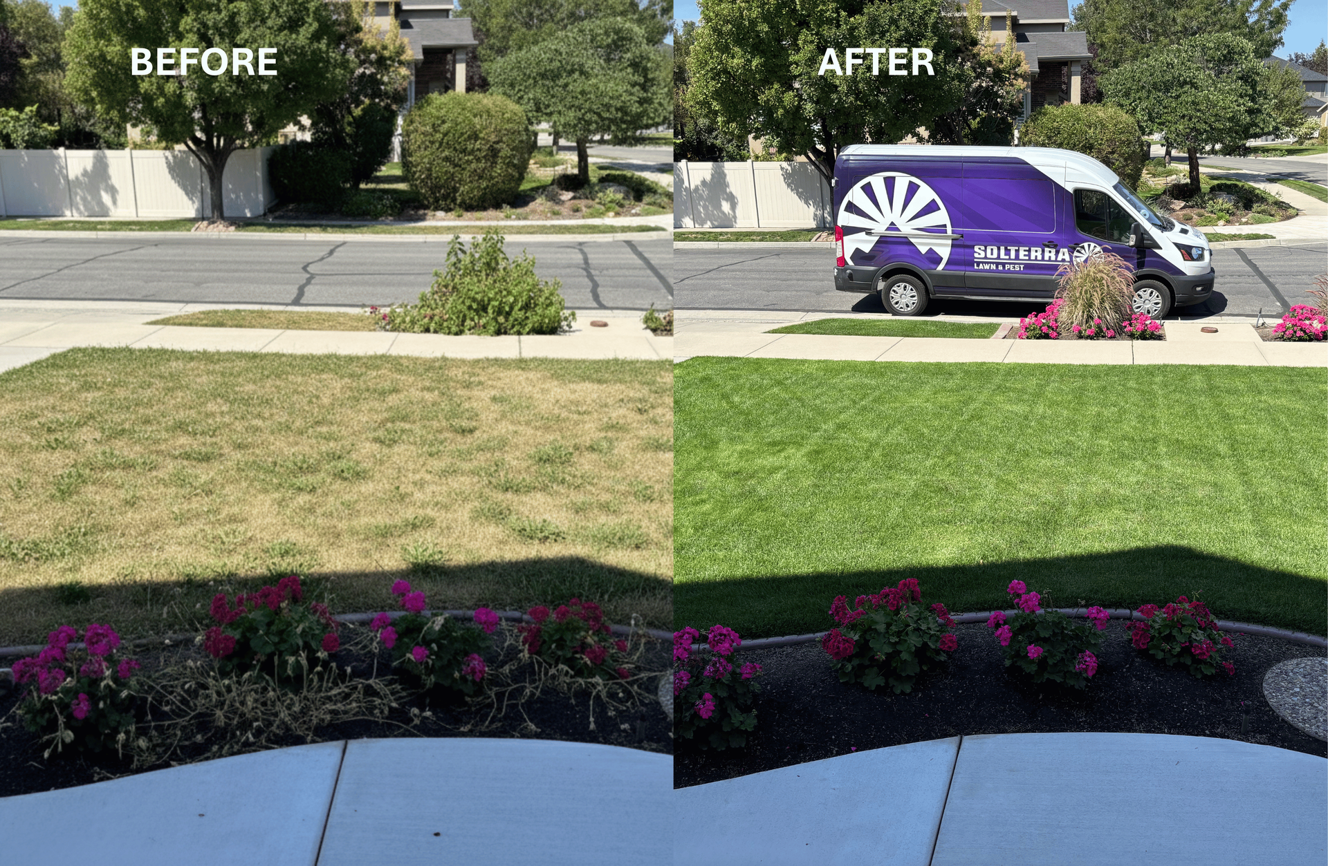Before and after backyard lawn results from professional lawn fertilization and weed control in Utah
