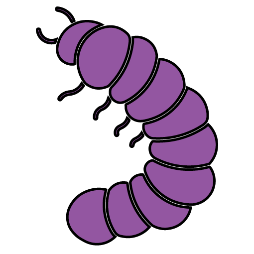 Purple caterpillar with black outlines and antennae.
