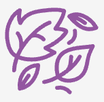 Purple outline of an envelope with a letter inside.