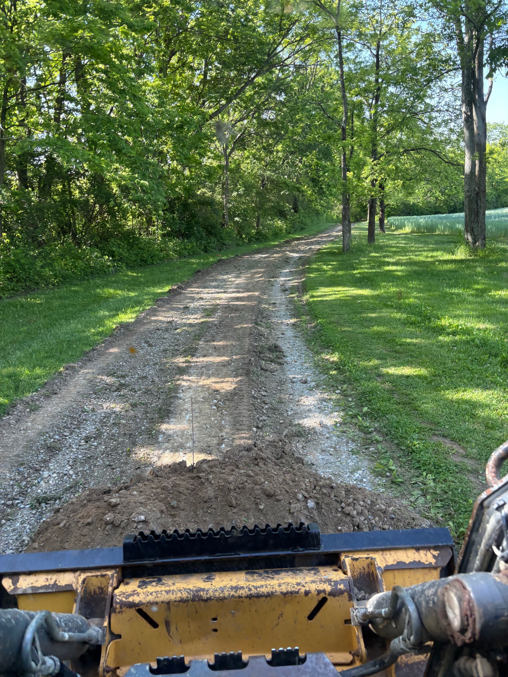 Gravel driveway through green trees, viewed from a vehicle with a yellow front attachment.