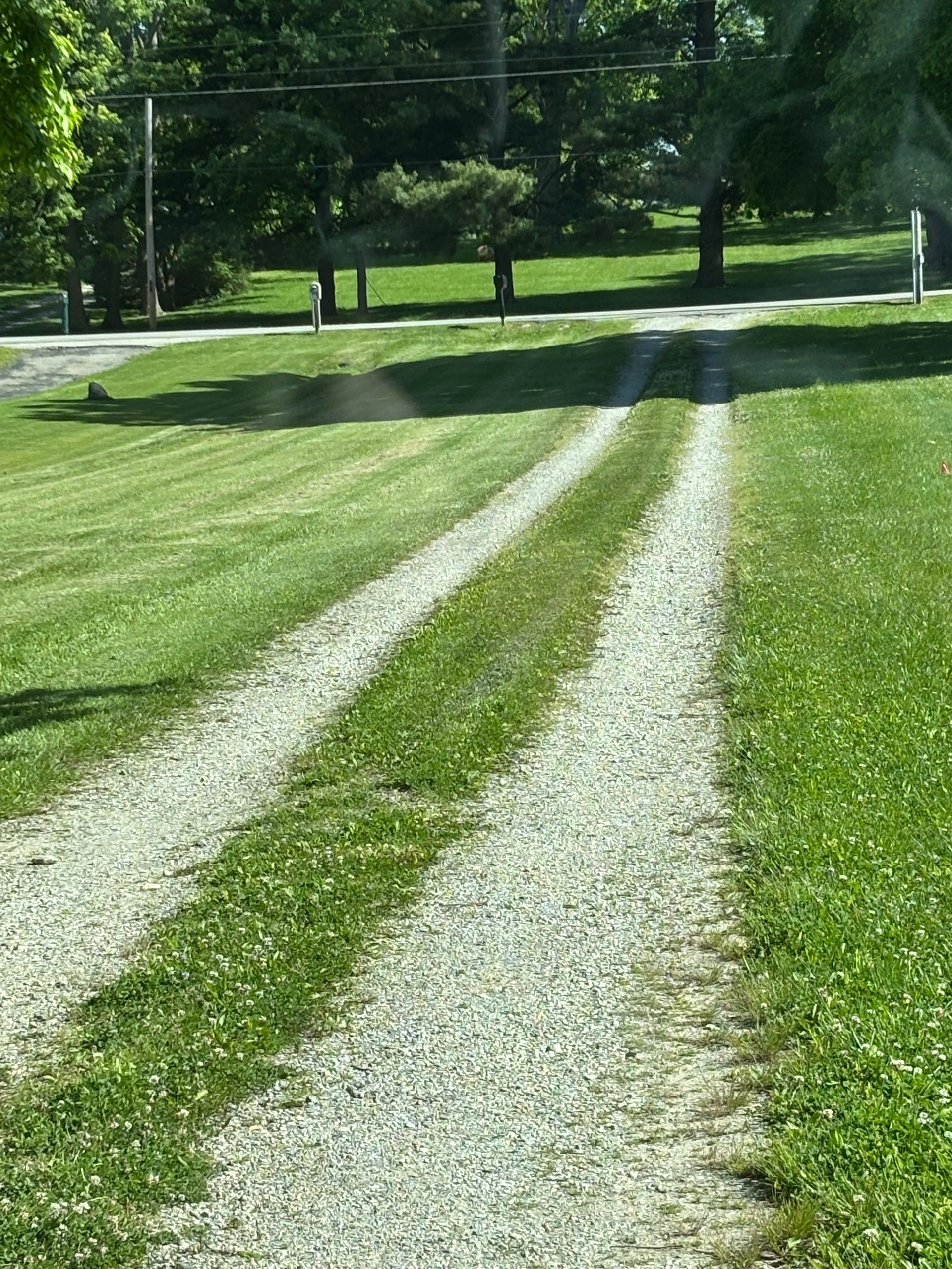 Gravel driveway through a grassy yard, leading toward trees and a road in the distance