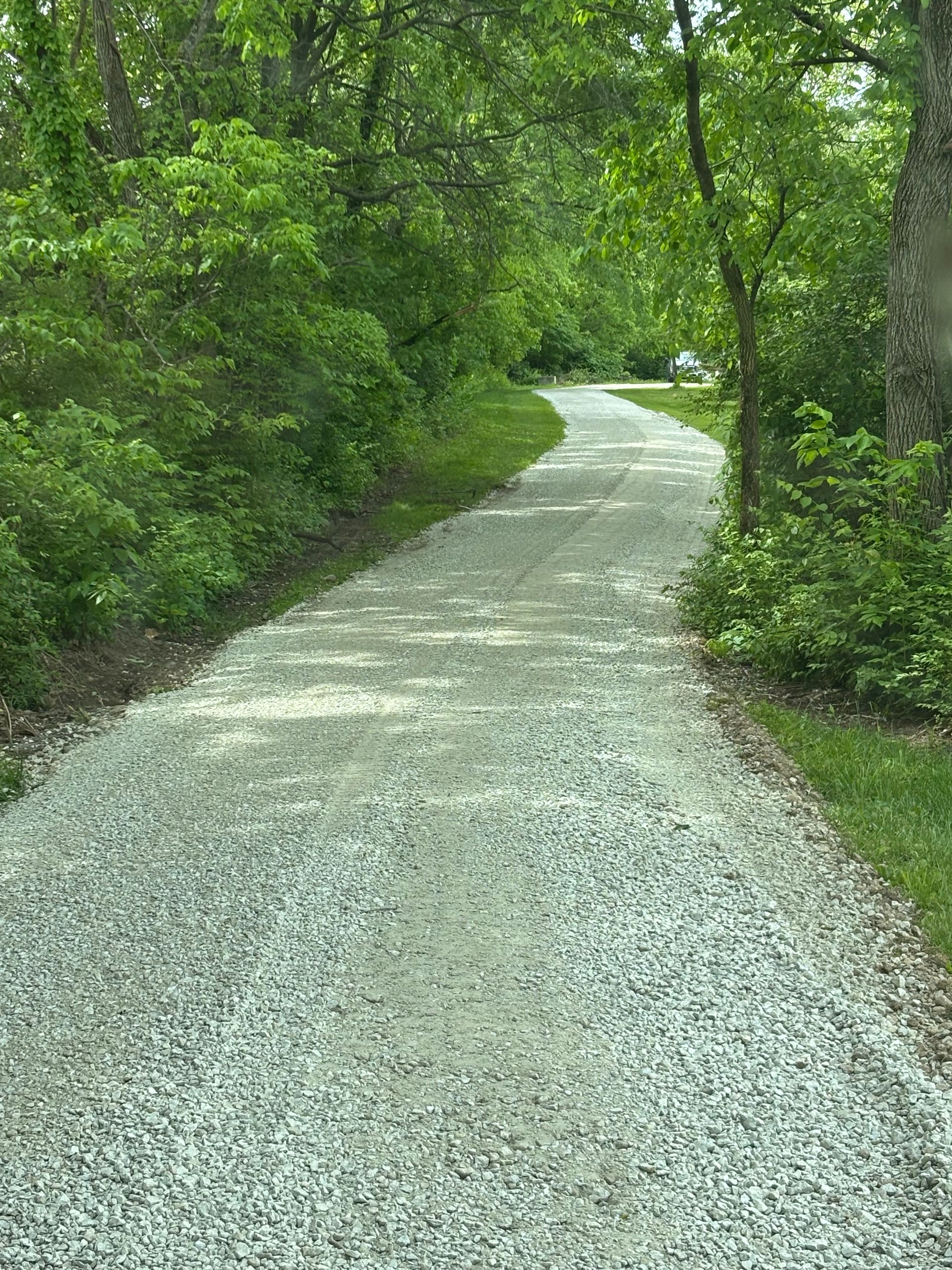 Gravel path winding through dense green trees and shrubs in a wooded park
