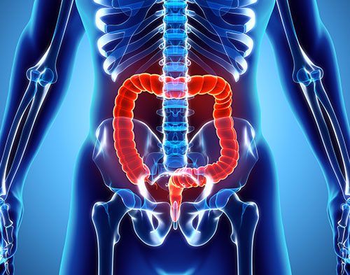 radiografía del tracto gastrointestinal, estudio clínico
