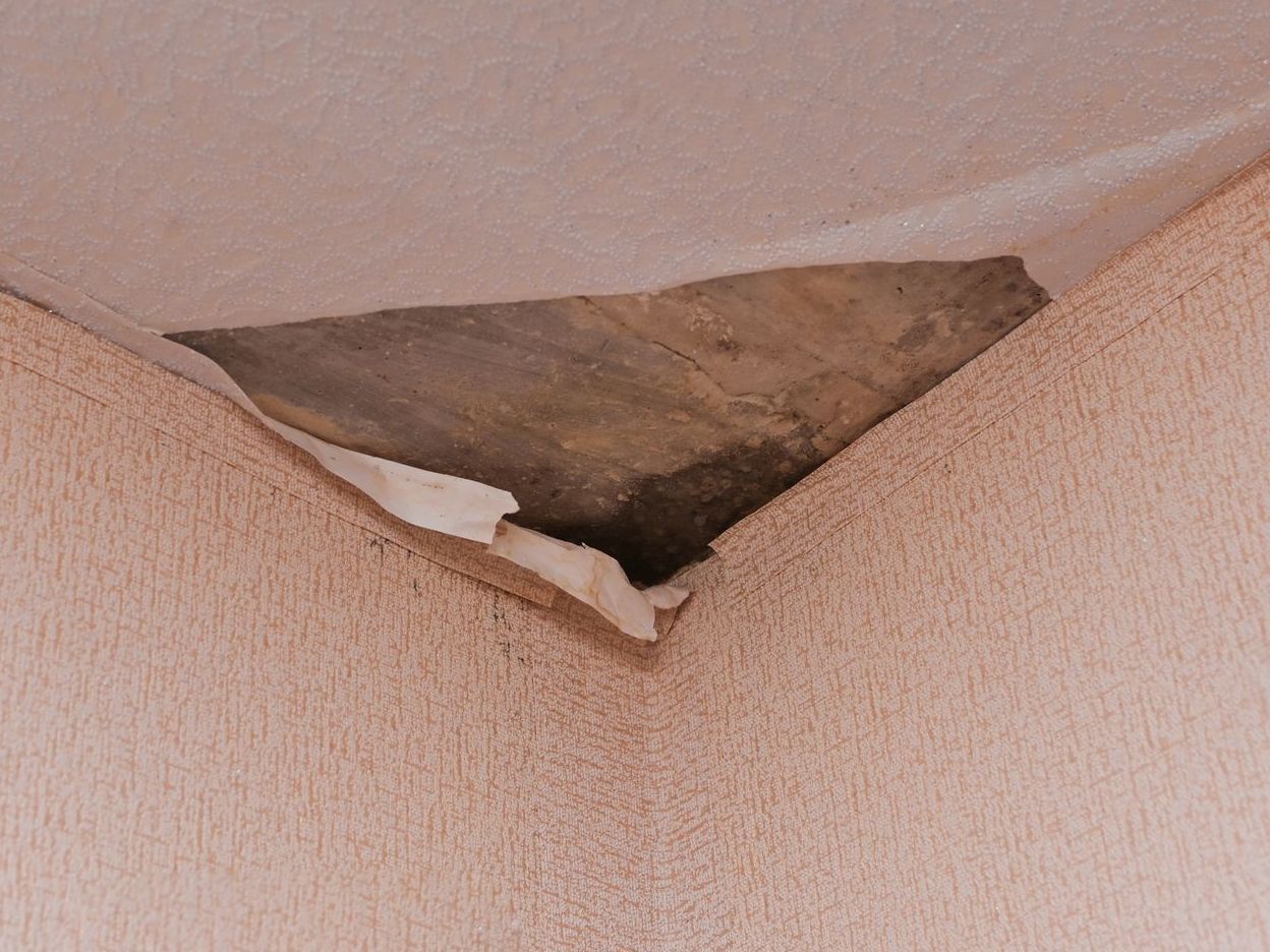 Ceiling leak