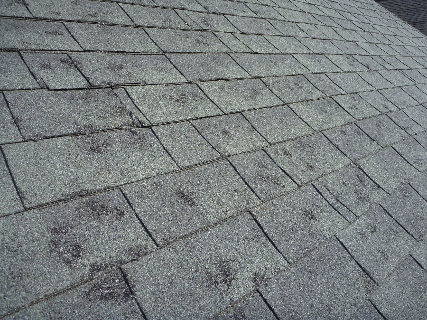 Damaged Shingles
