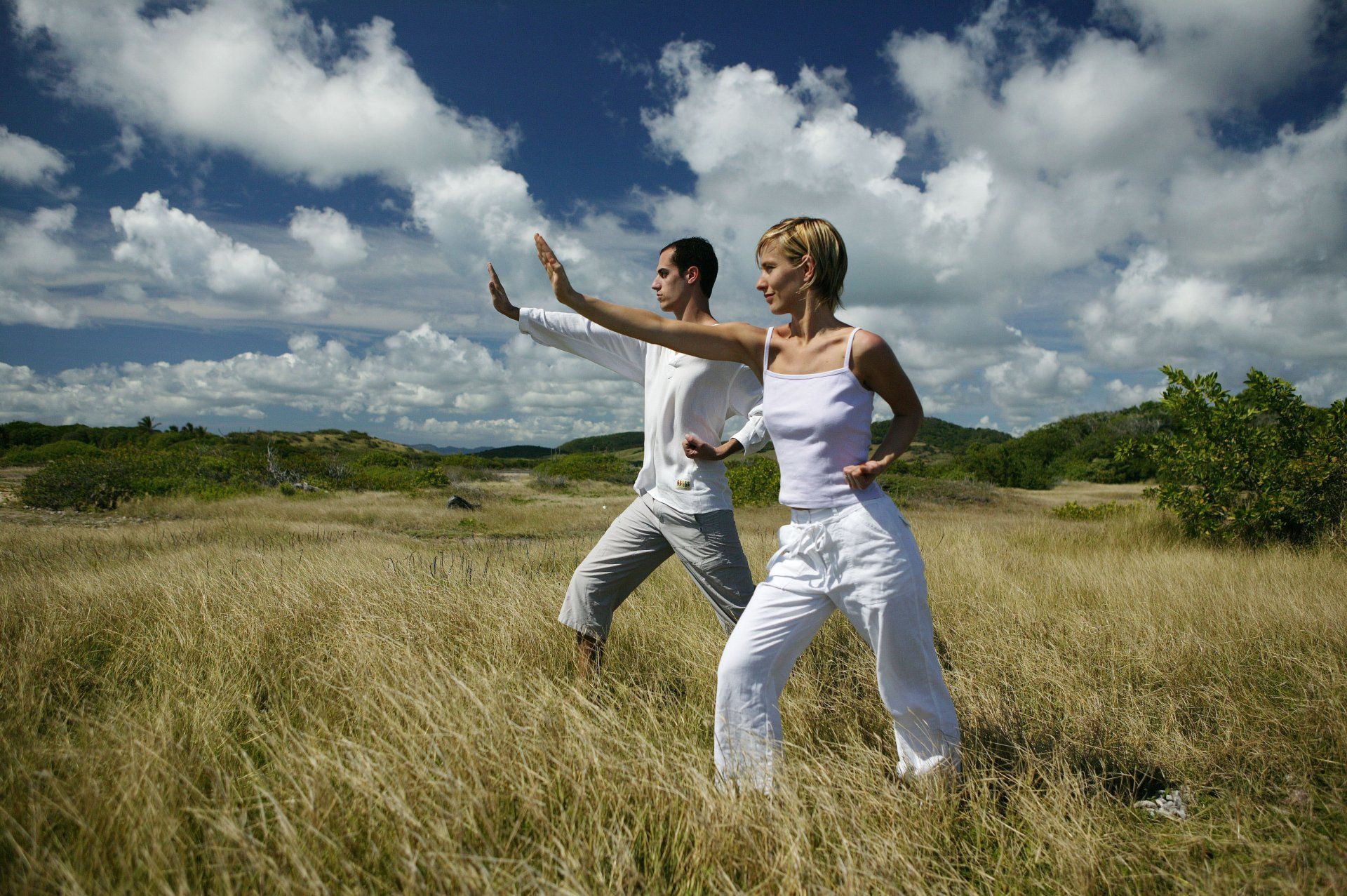 Twee mensen beoefenen Tai Chi in een grasveld onder een blauwe lucht met wolken. Ze dragen allebei lichtgekleurde kleding.