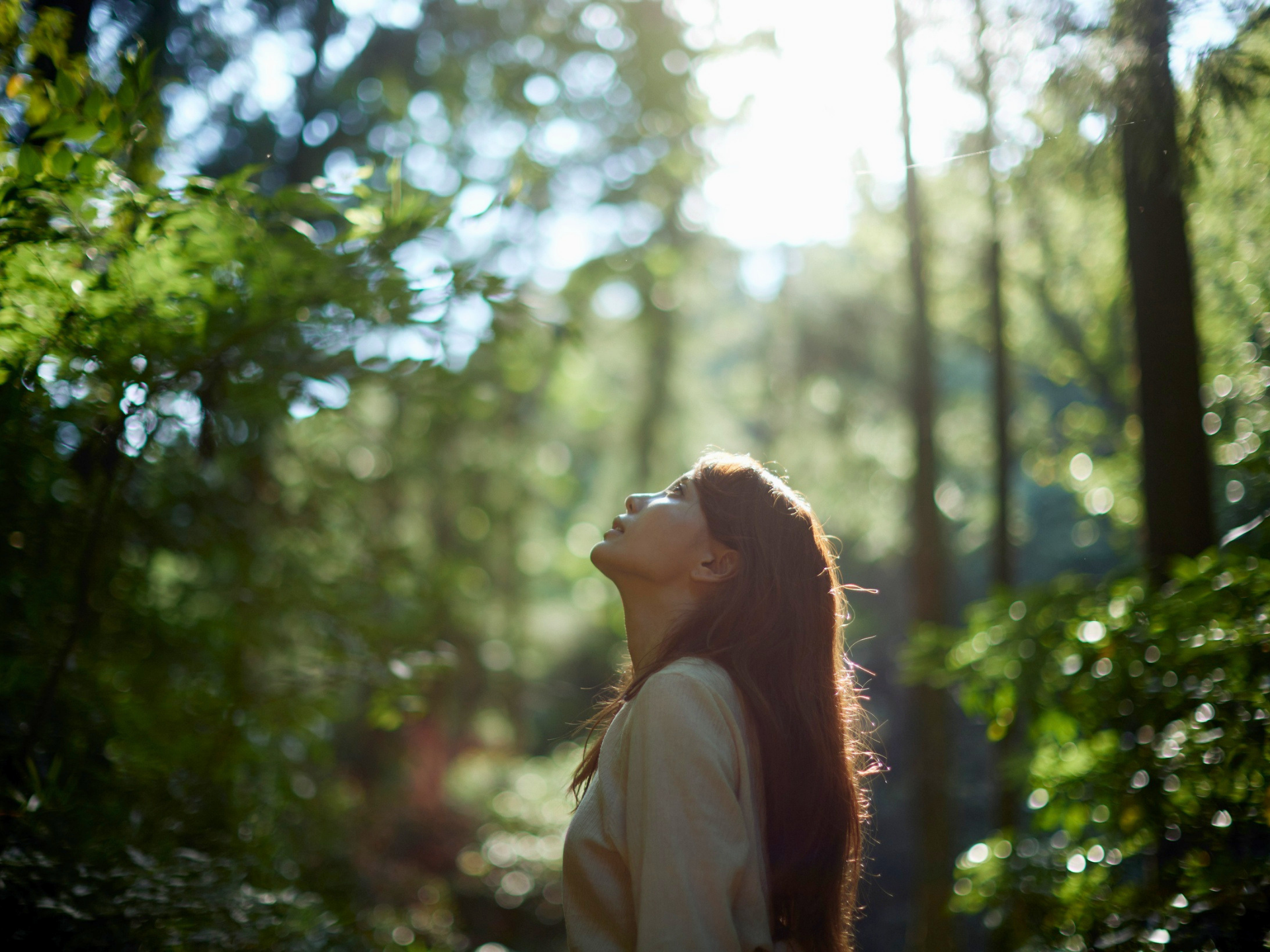 Woman standing in a sunlit forest, looking up through the trees