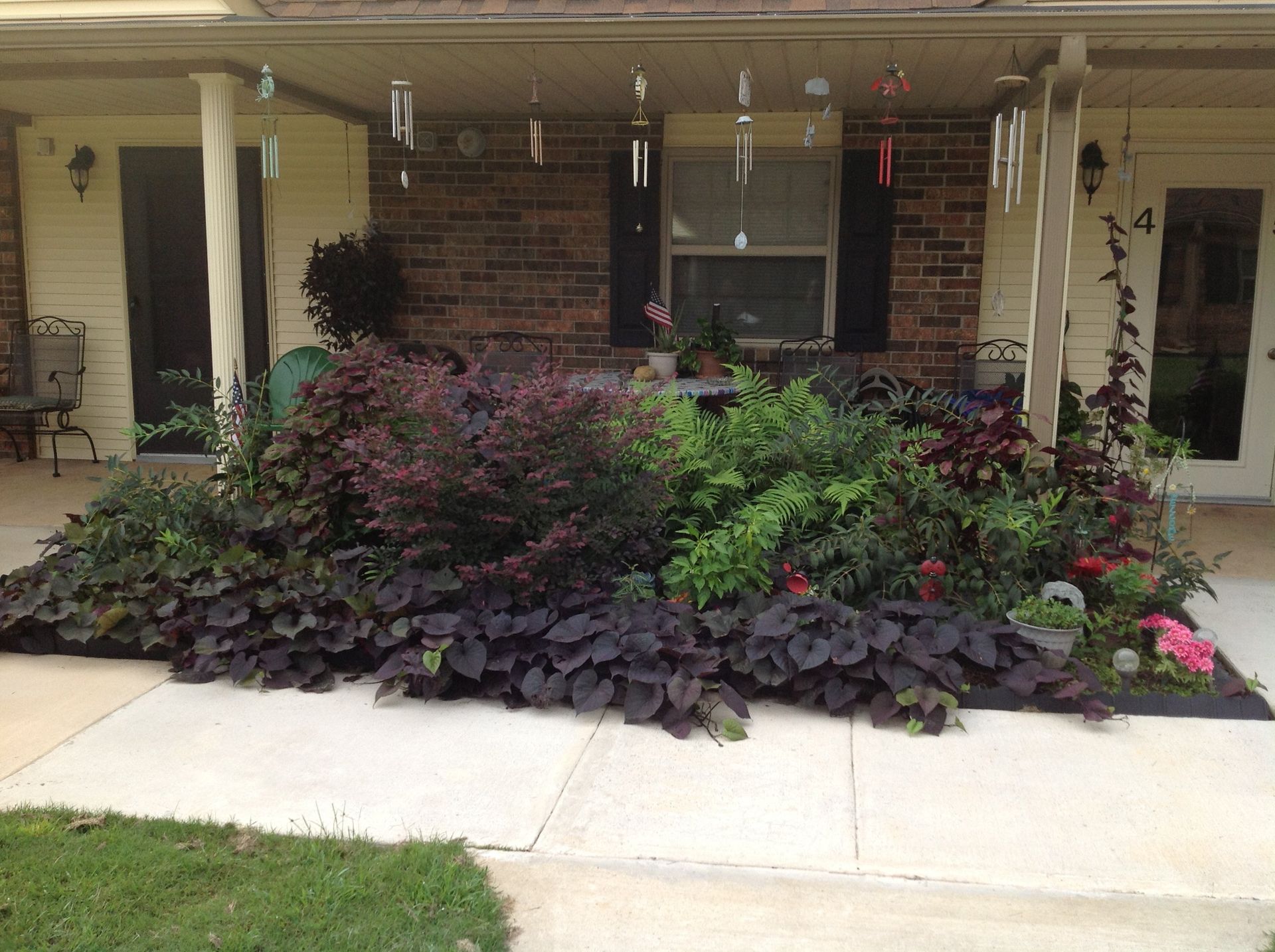 A house with a lot of plants in front of it