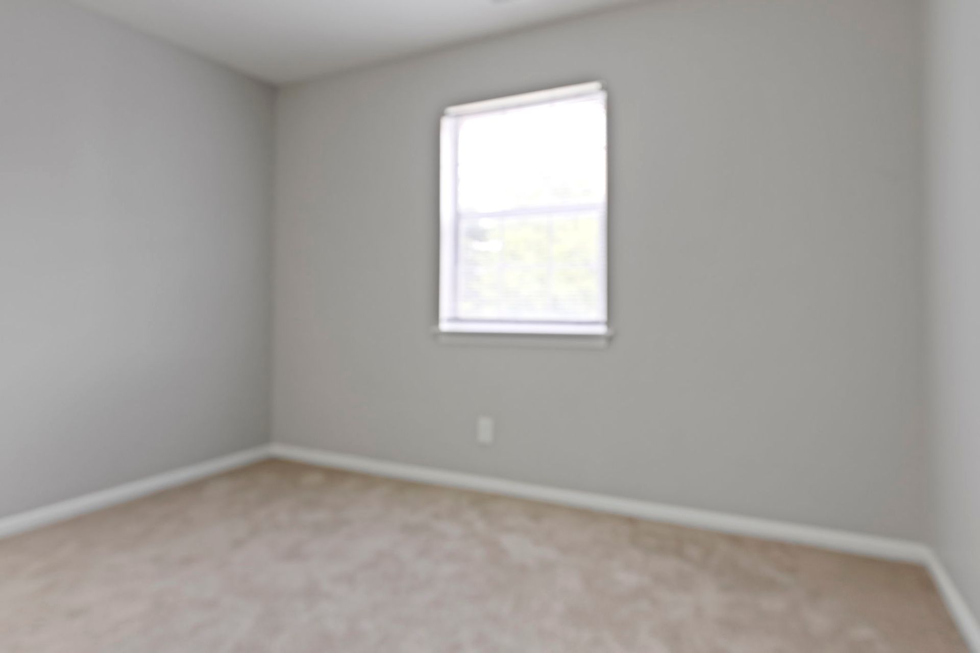 Empty room with gray walls, beige carpet, a window, and an electrical outlet.