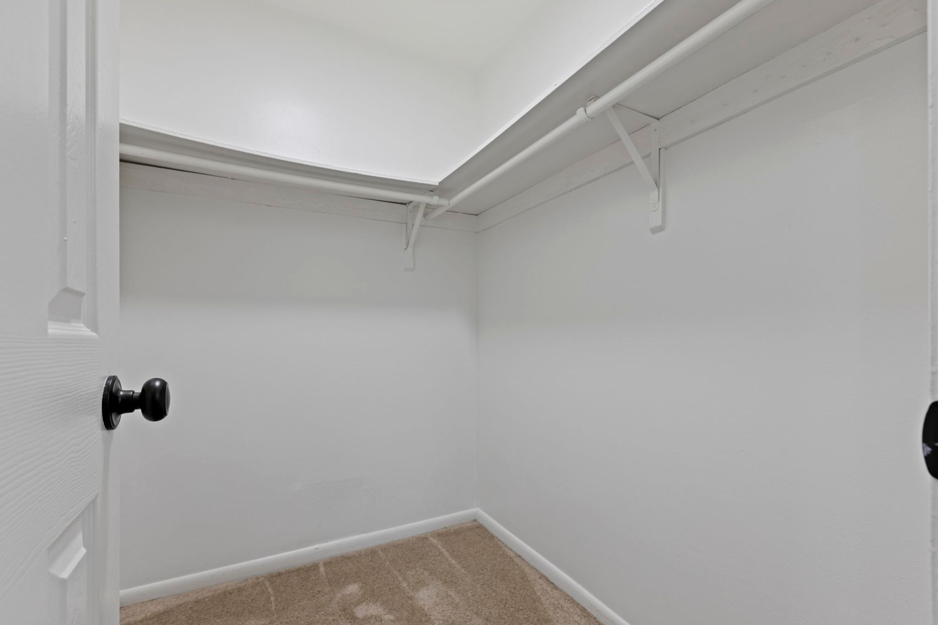 Empty white closet with a clothes rod and shelf, beige carpet, and closed white door.